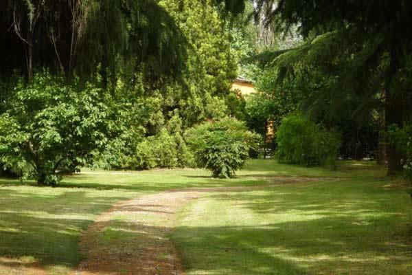 Tenuta Le Risare Bed and Breakfast Campo San Martino Εξωτερικό φωτογραφία
